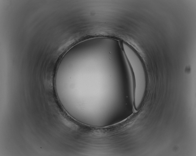 X0000090890489200708242005