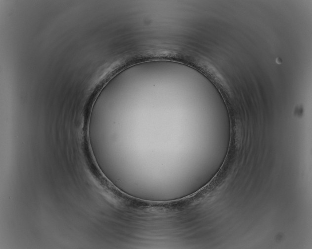 X0000090890490200708242005