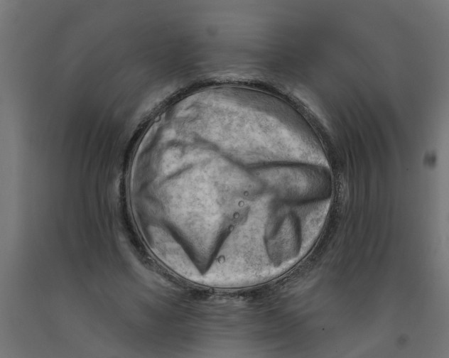 X0000090890491200708242005