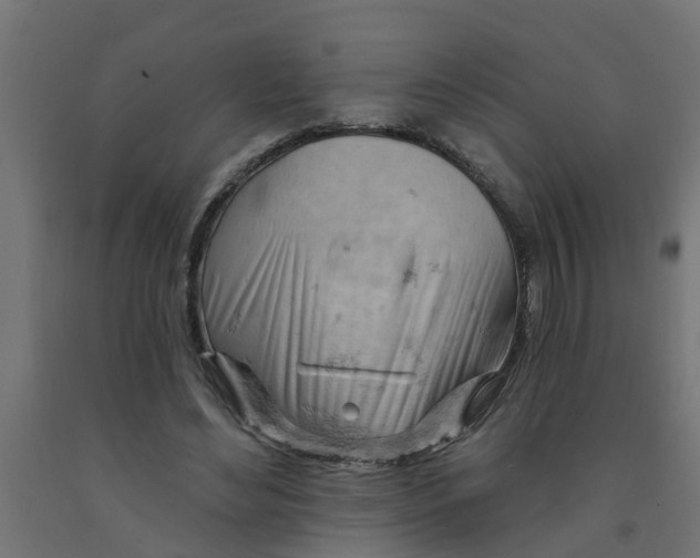 X0000090890492200708242005