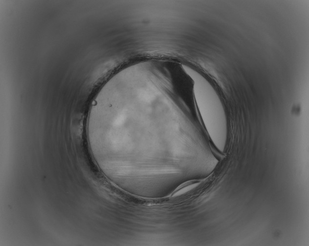 X0000090890495200708242005