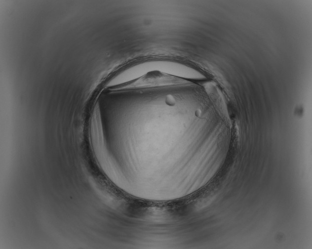 X0000090890496200708242005