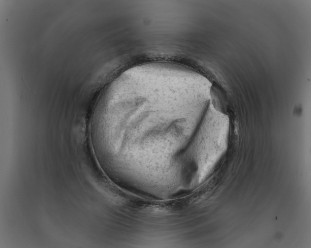 X0000090890498200708242005