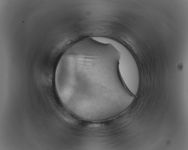 X0000090890499200708242005