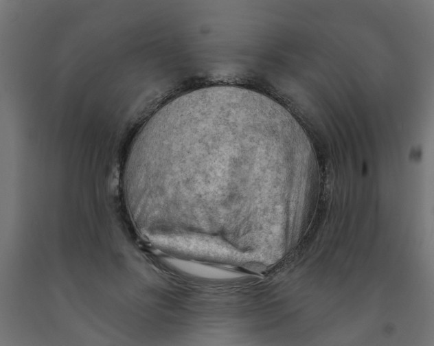 X0000090890502200708242005