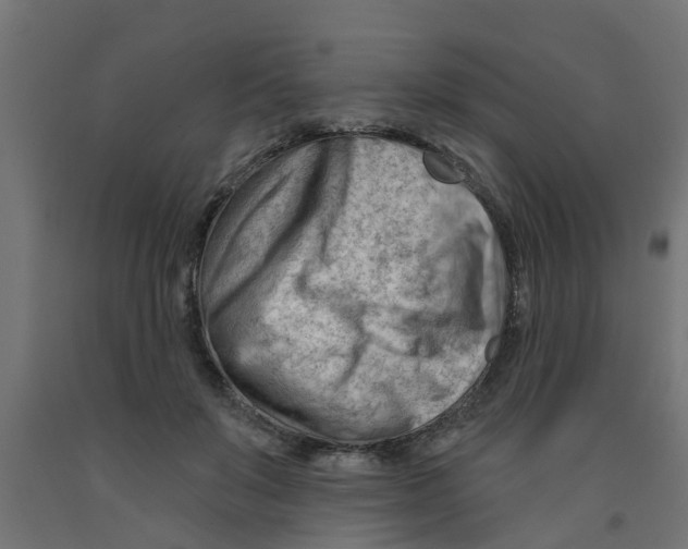 X0000090890503200708242005