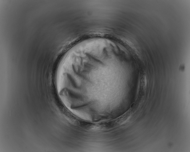 X0000090890504200708242005