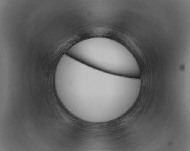 X0000090890505200708242005