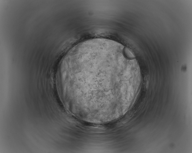 X0000090890506200708242005