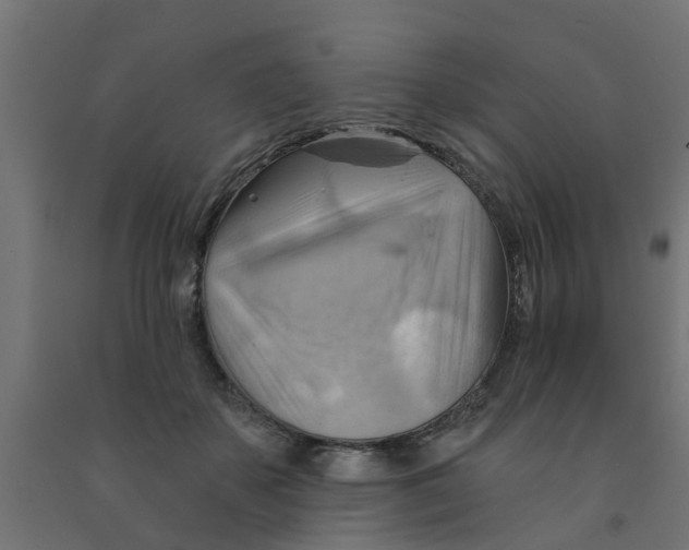 X0000090890507200708242004