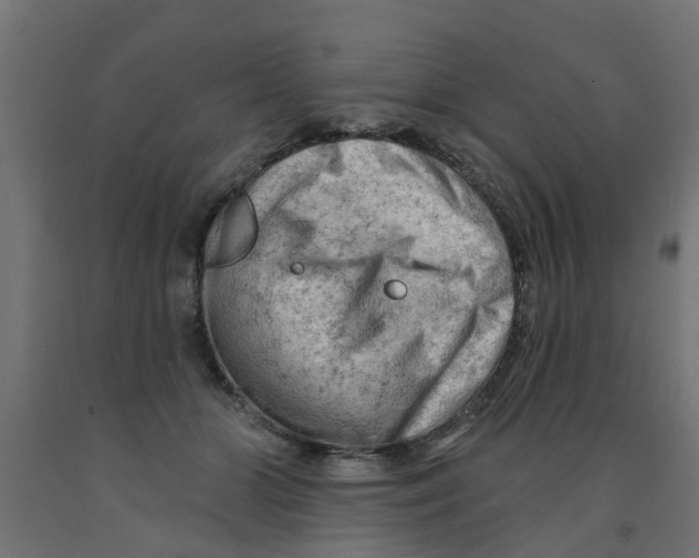 X0000090890510200708242004