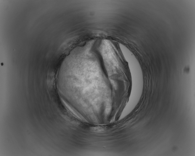 X0000090890511200708242004