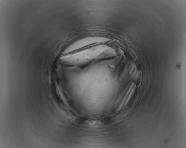 X0000090890512200708242004