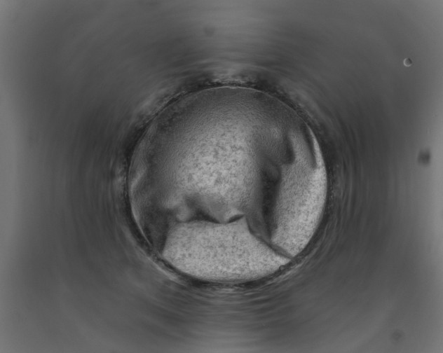 X0000090890513200708242004