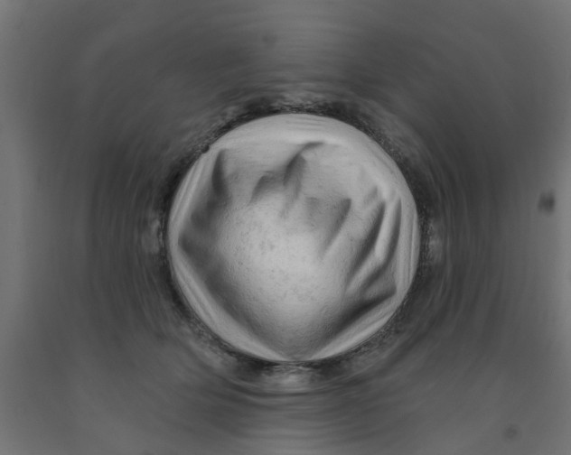 X0000090890514200708242004