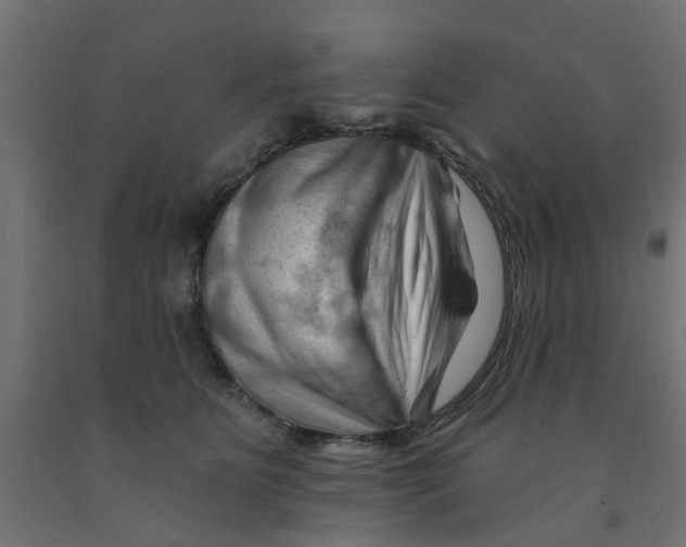 X0000090890515200708242004