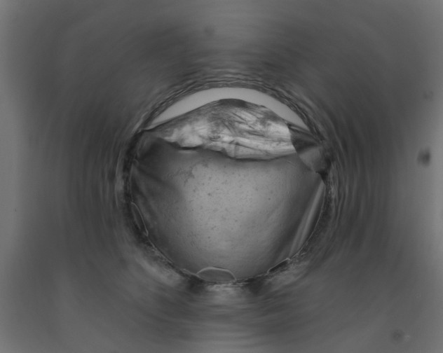 X0000090890516200708242004