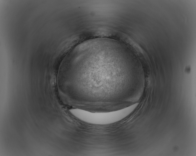 X0000090890517200708242004