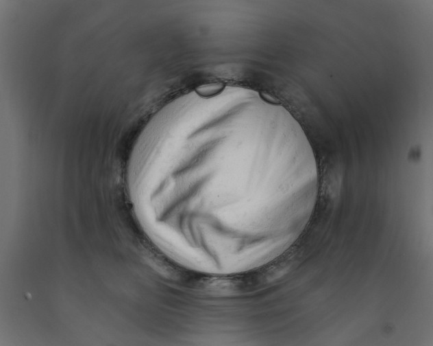 X0000090890518200708242004