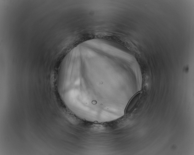 X0000090890519200708242004