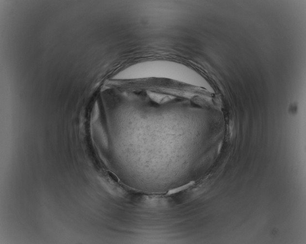 X0000090890520200708242004