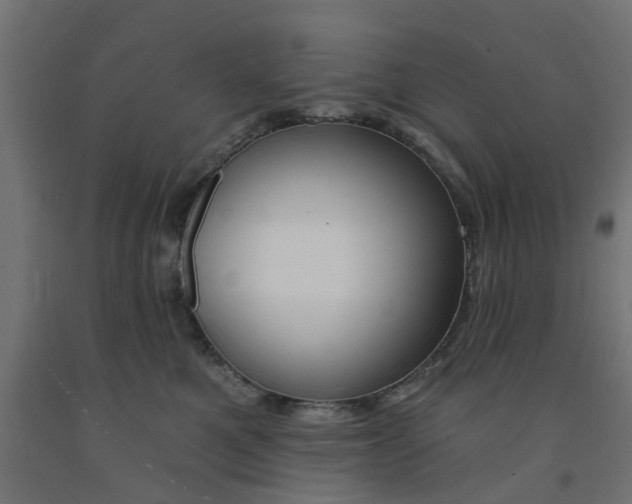 X0000090890521200708242004