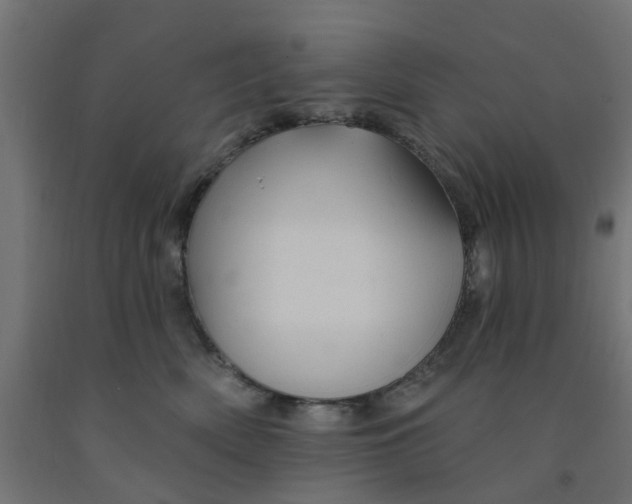 X0000090890522200708242004