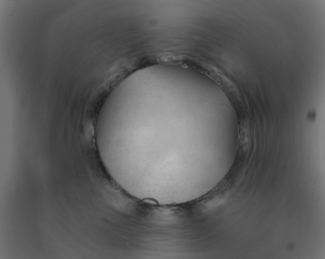 X0000090890523200708242004