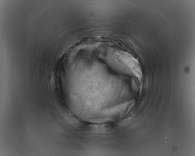 X0000090890524200708242004