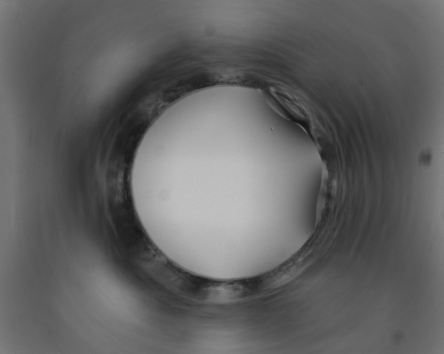 X0000090890525200708242004