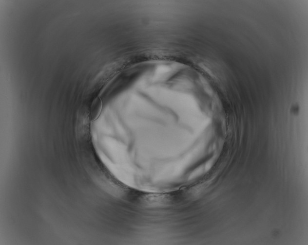 X0000090890526200708242004