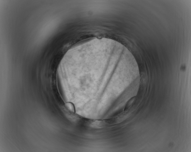 X0000090890527200708242004