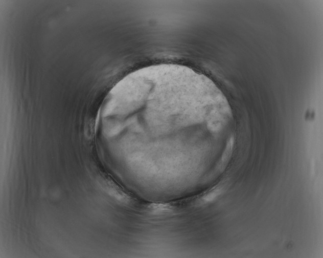 X0000090890528200708242004