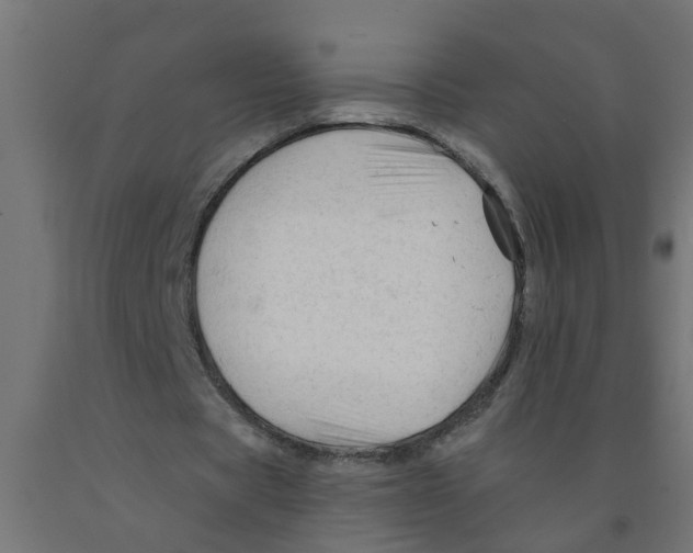 X0000090890529200708242004