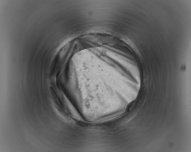 X0000090890530200708242004