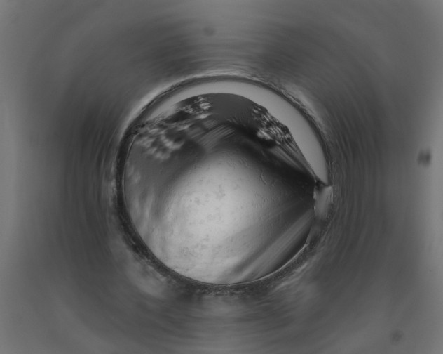 X0000090890532200708242004