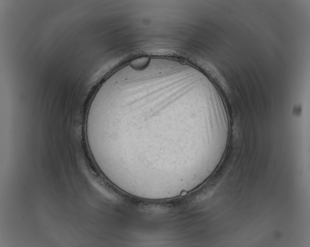 X0000090890533200708242004