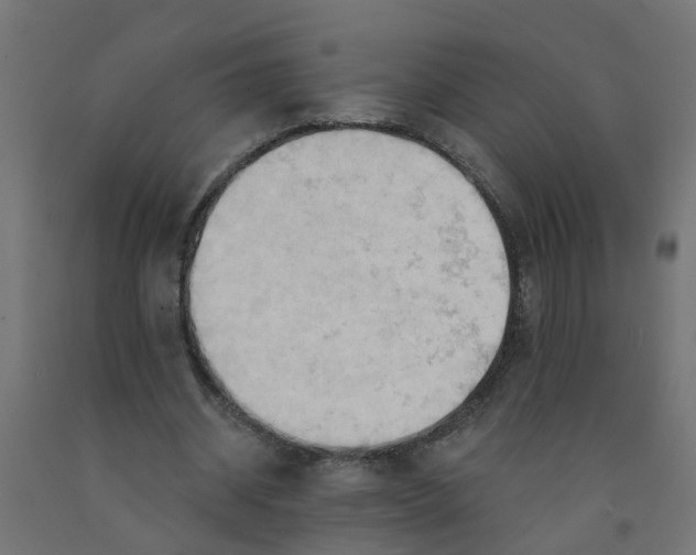 X0000090890534200708242004