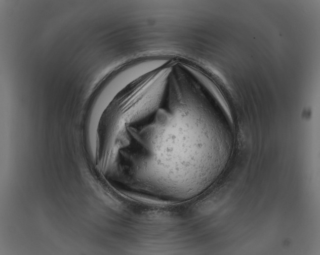 X0000090890535200708242004