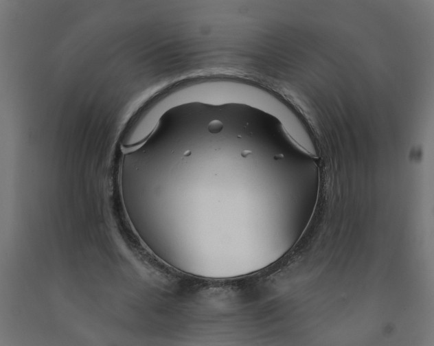 X0000090890536200708242004