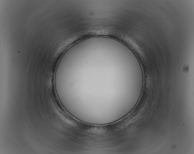 X0000090890537200708242004