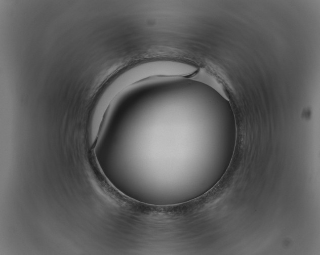 X0000090890538200708242004