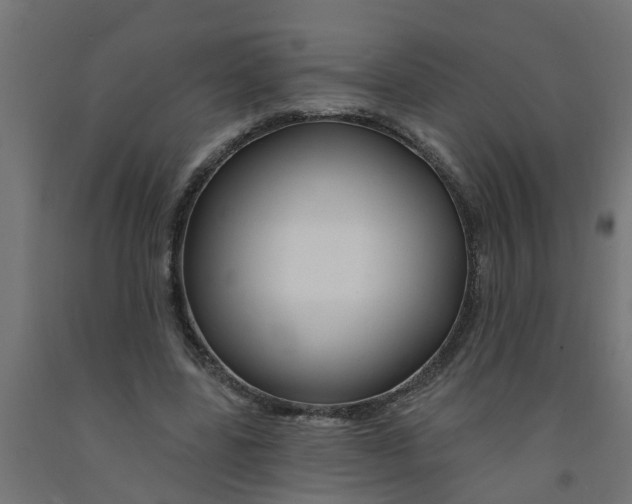 X0000090890539200708242004