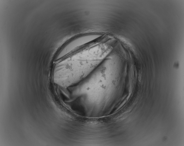 X0000090890540200708242004