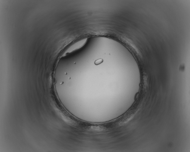 X0000090890541200708242004