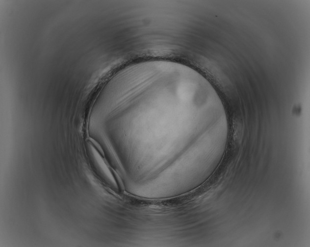 X0000090890542200708242004