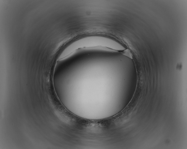 X0000090890543200708242004