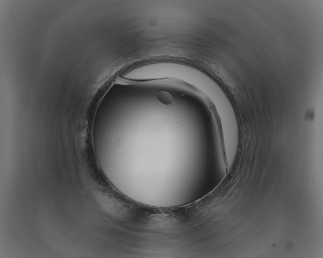 X0000090890544200708242004