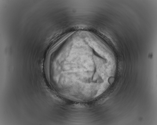 X0000090890545200708242004