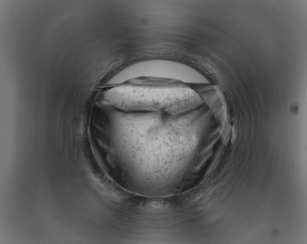 X0000090890546200708242004